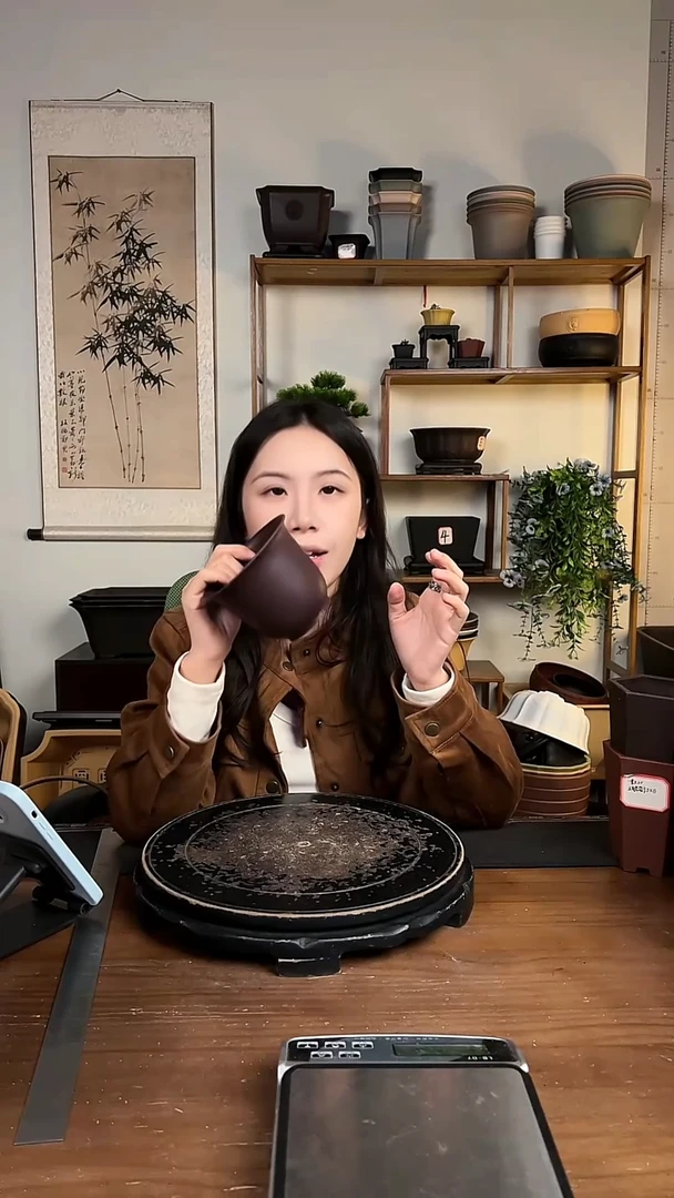 12口金种15只紫檀