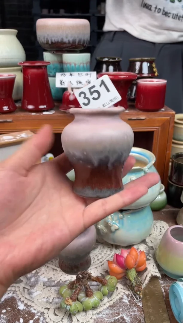 瓷片351知木小芳花盆直播编号