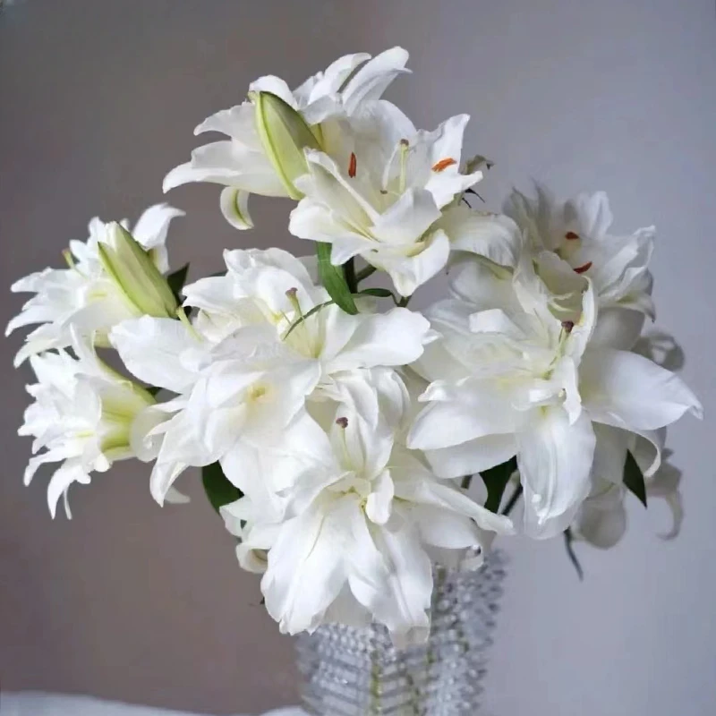 云南木木花卉 滑雪板清新淡雅重瓣香水百合花鲜花淡香型家用插花