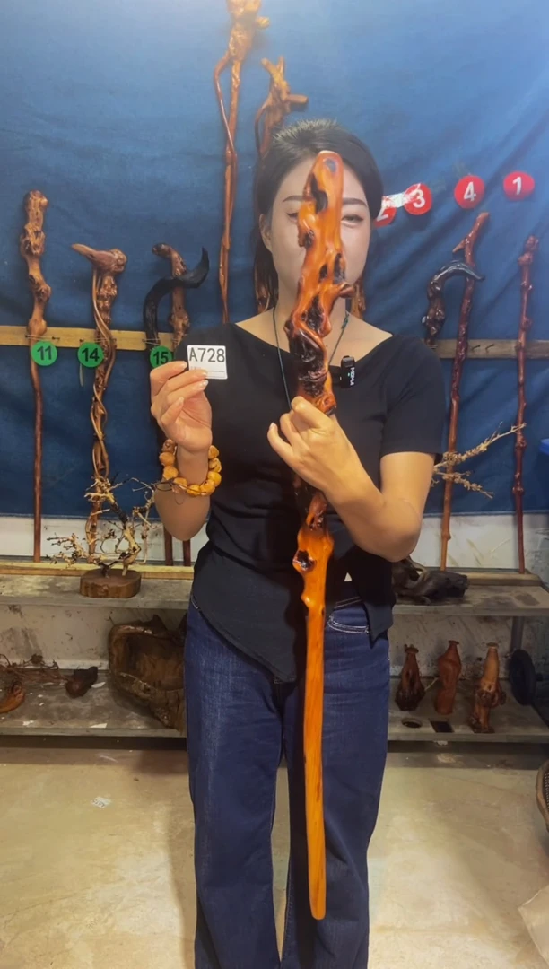 黑果木东*黑果木A728