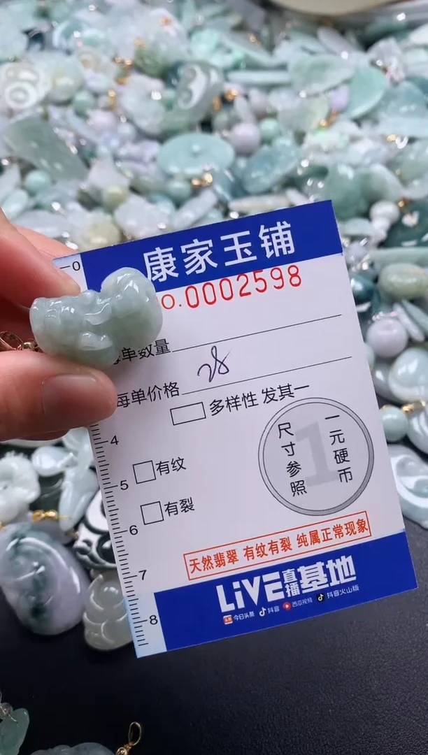 颈饰未镶嵌翡翠2598