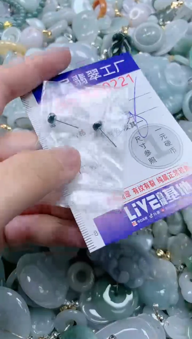 翡翠未镶嵌吊坠(不含链)221