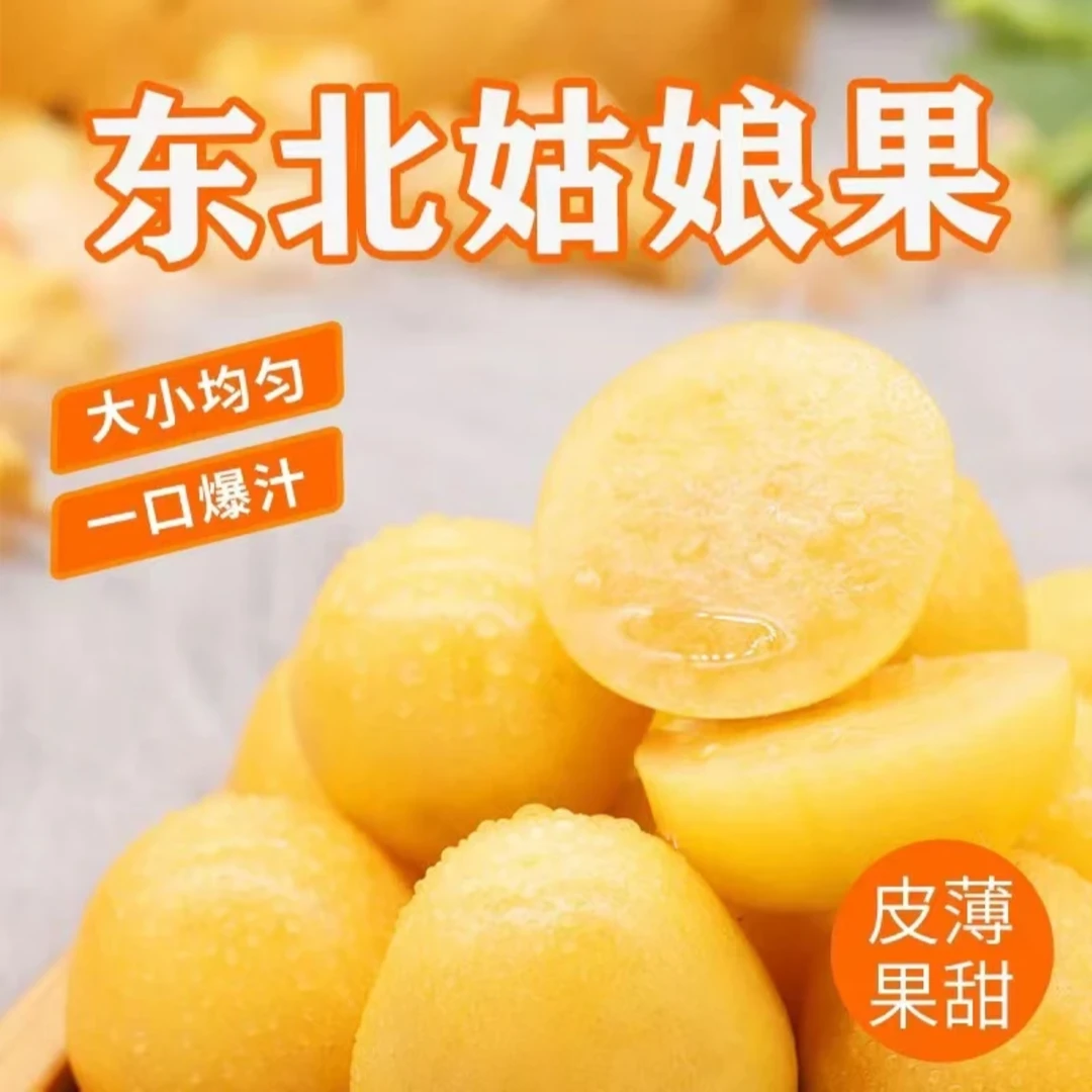 【坏果包赔】东北姑娘果精选灯笼果黄果香甜可口新鲜采摘产地直发