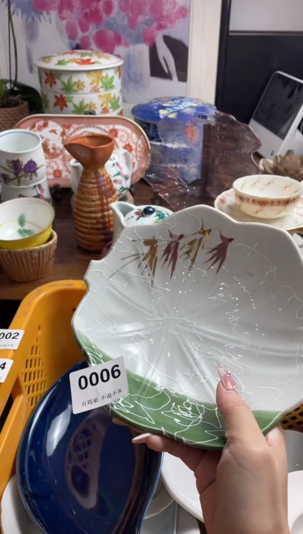 【闪购商品】瓷片hhfttgtugu5254354