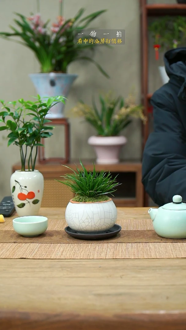 完全开放?****李菖蒲128