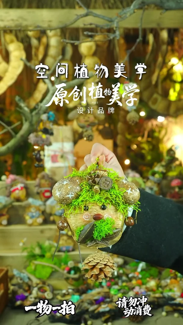 香榧木豆荚娃娃一物一拍