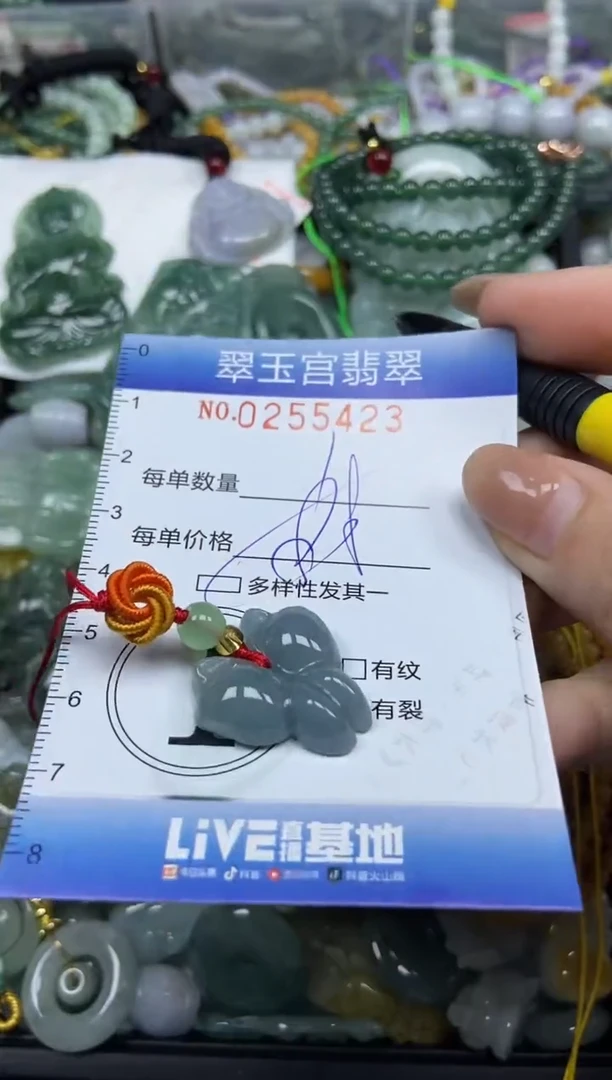 颈饰未镶嵌翡翠闪购C0255423多样性发其一