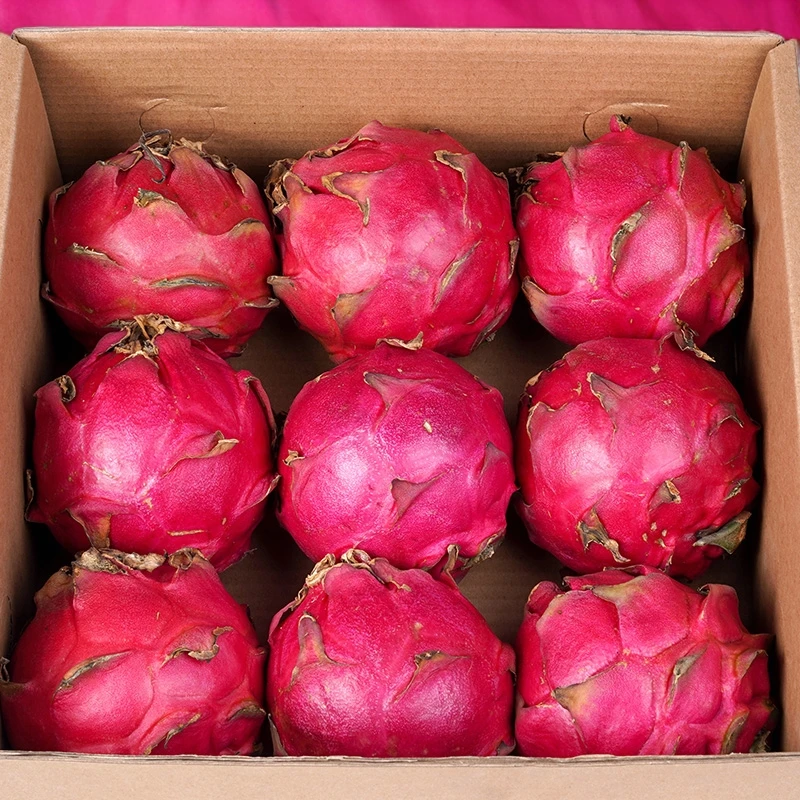 火龙果蜜宝香甜广西红心红肉金都火龙果净果4.5斤2斤春季时令水果
