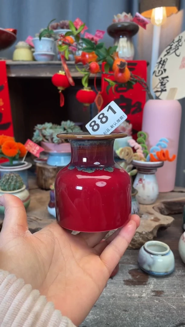 【闪购商品】摆件福利881知木小芳花盆