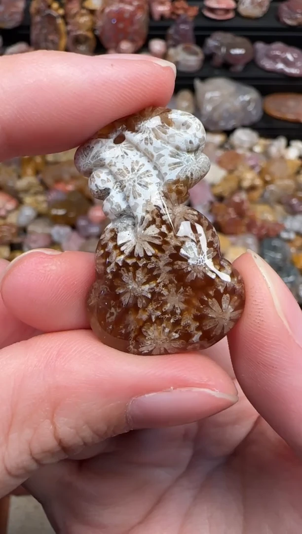 颈饰未镶嵌硅化珊瑚（珊瑚玉）135