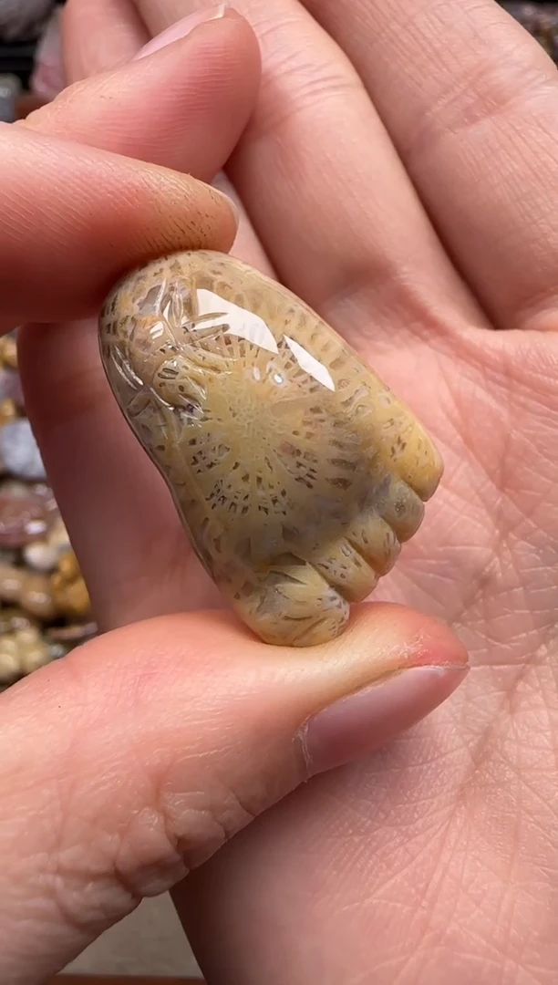 【闪购商品】硅化珊瑚（珊瑚玉）颈饰未镶嵌609