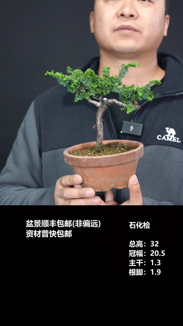 无花朵蟹*浪石化桧-G6227