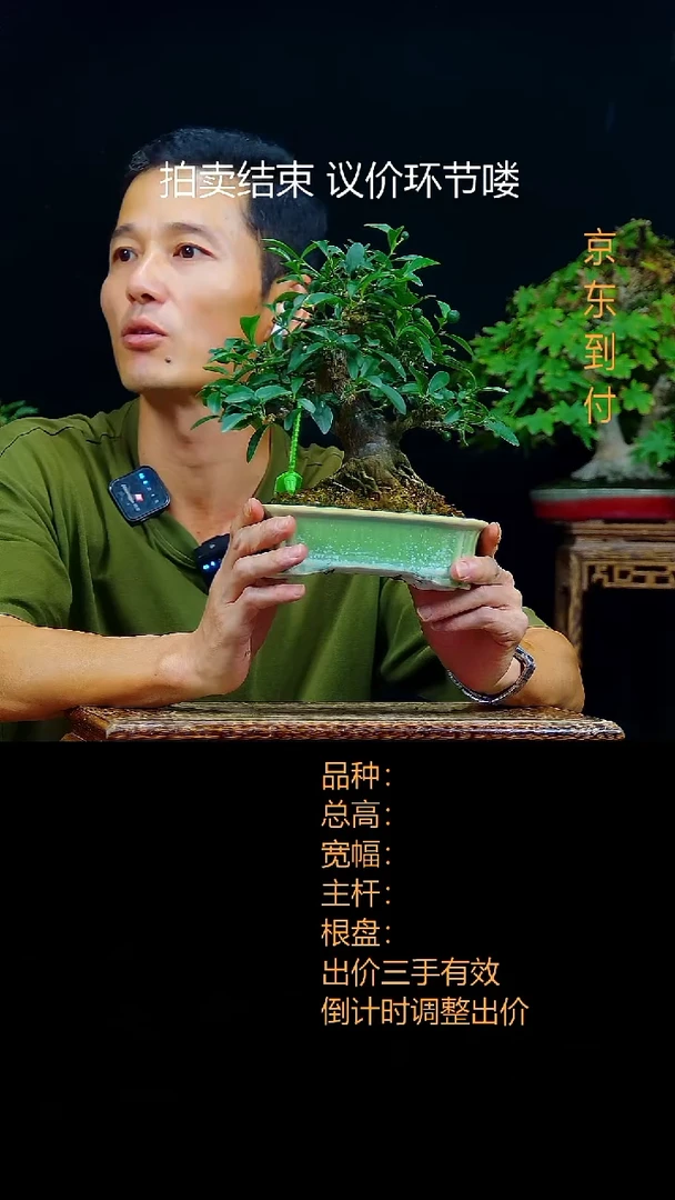 何*呐000000000豆