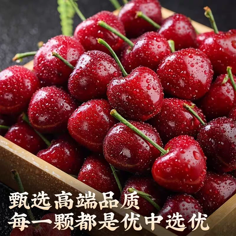洛阳千年樱桃沟半山鲜谷脆甜大樱桃车厘子非大棚新鲜采摘顺丰包邮