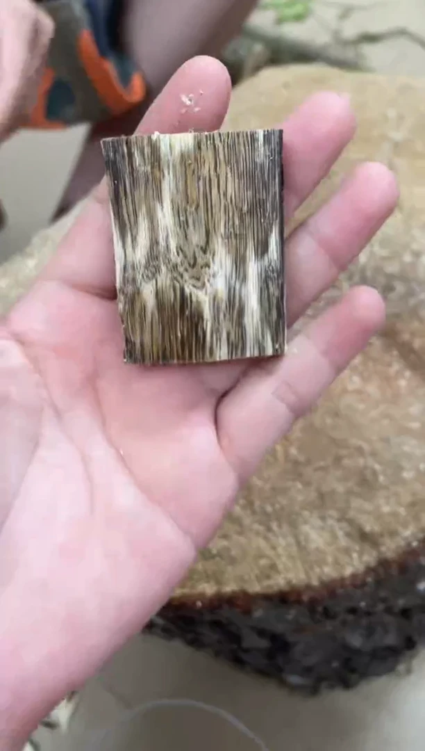 沉香碎屑沉香棋楠沉香 原料文创1