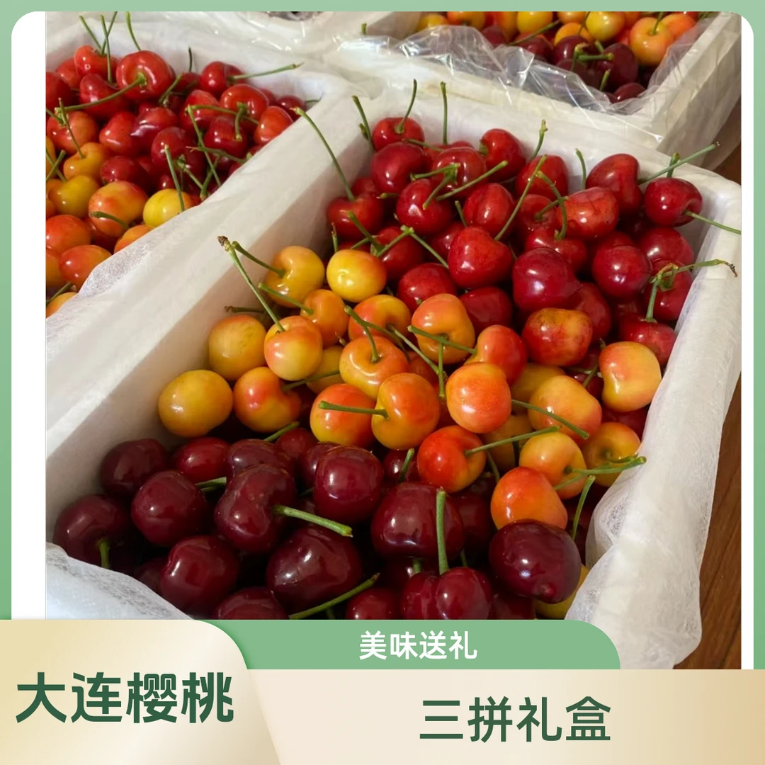 t大连陆地樱桃大果三拼色红黄紫（萨米托、美早、美国红）5斤和3斤装J产地发货【顺丰次日达】萨米托、美早、美国红