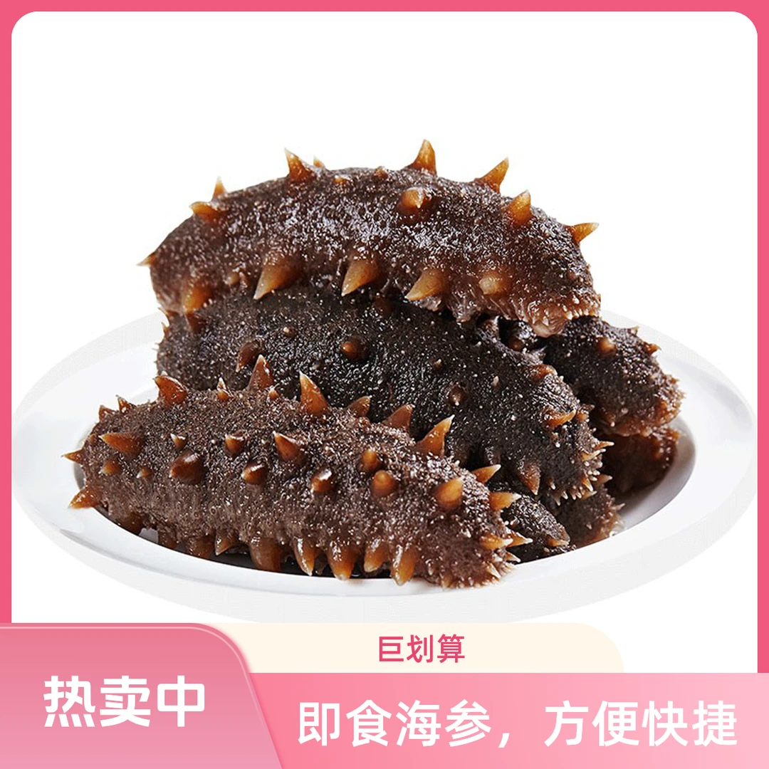 精品真空独立包装鲜食海参9-13头/斤 顺丰包邮
