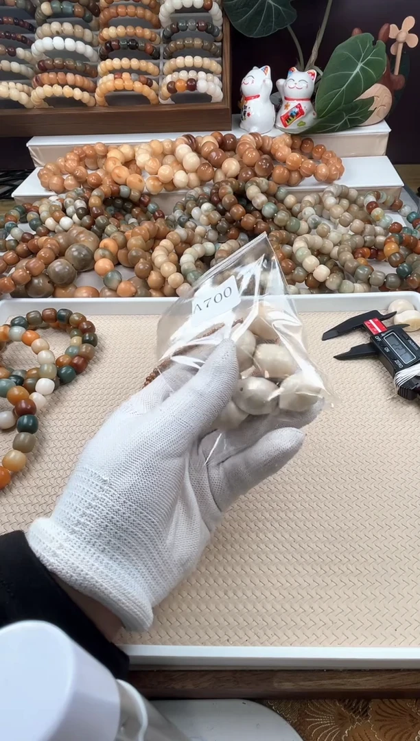 【闪购商品】菩提根/象牙果吊坠a700一个