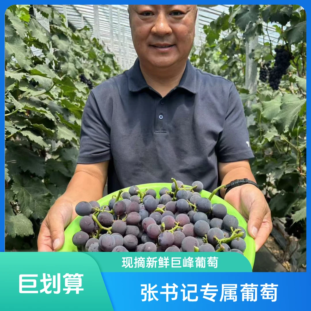 【张书记专属】巨峰葡萄新鲜现摘大葡萄整串 脆甜多汁2-3斤水果山东省