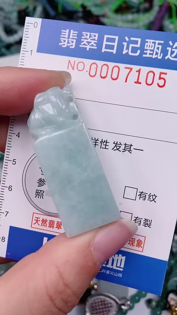 【闪购商品】翡翠颈饰未镶嵌00007105