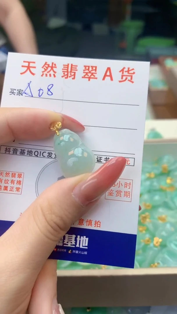 颈饰未镶嵌翡翠天然A货翡翠挂件