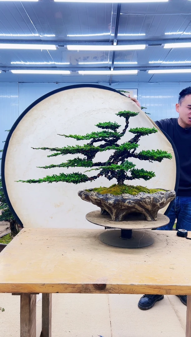 无花朵00000000000000000000000000000