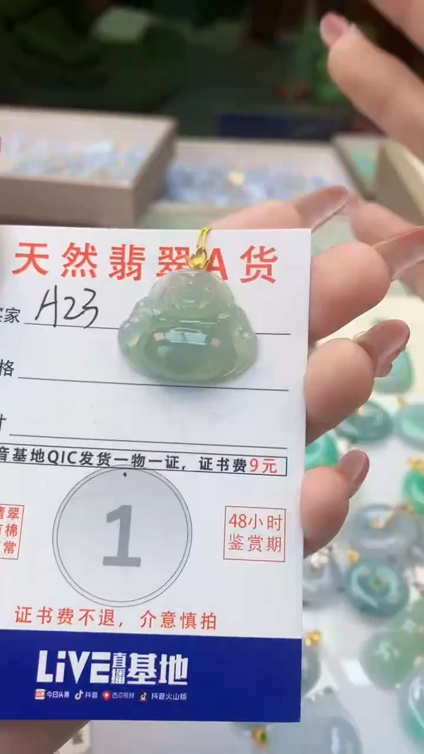颈饰未镶嵌翡翠天然A货翡翠挂件