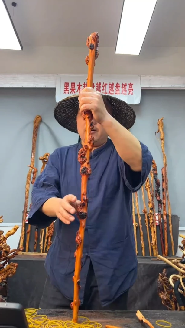 【闪购商品】黑果木其他黑果木025