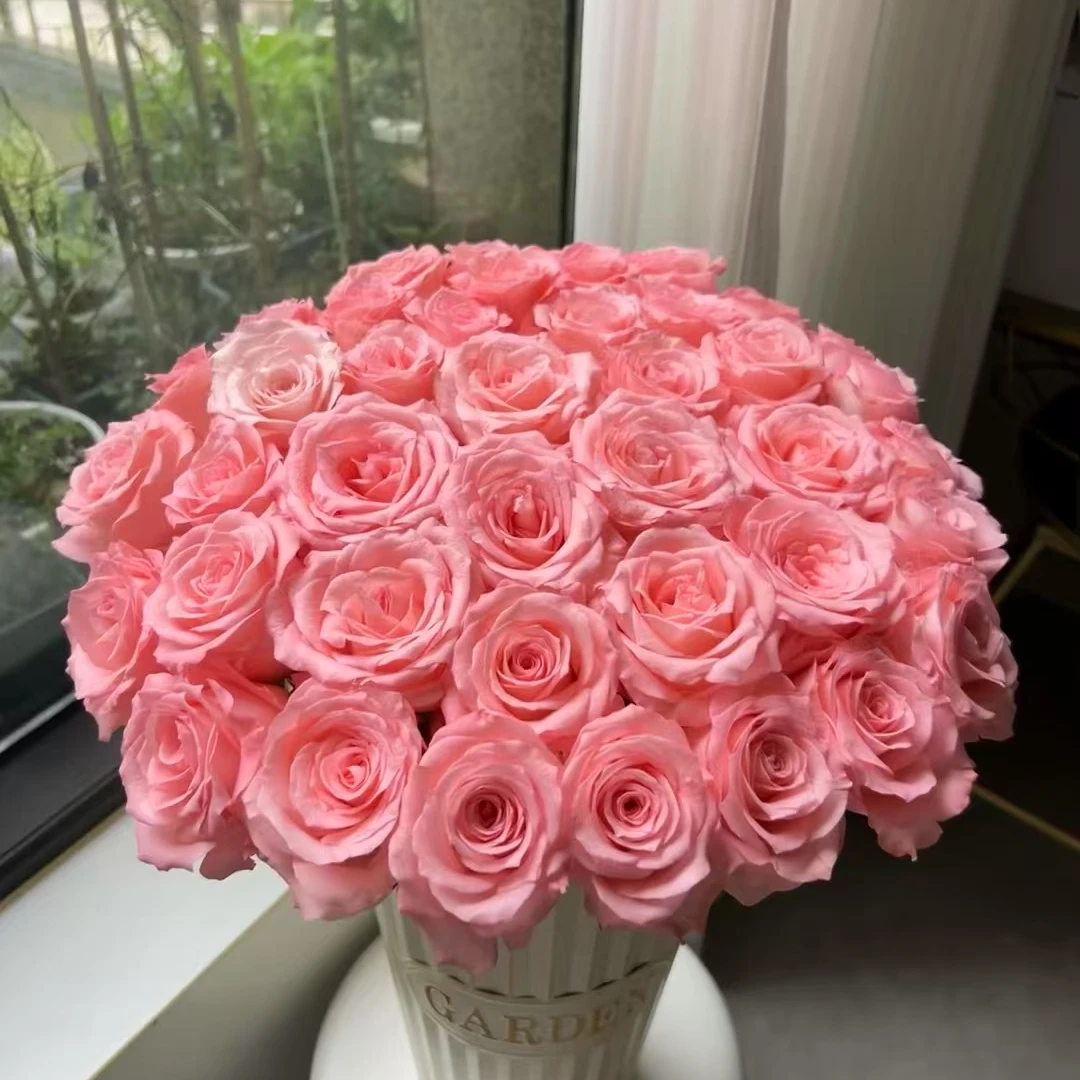 【云舍花卉】戴安娜单头玫瑰全场任意满2单及以上鲜花包邮