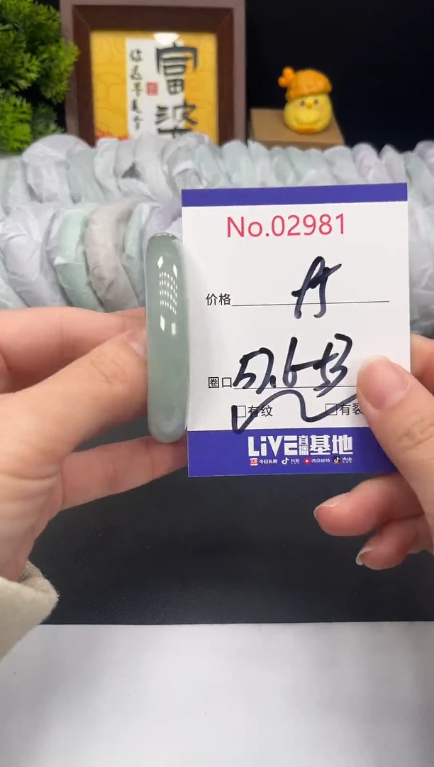 未镶嵌手镯翡翠拍下以实物为准2981