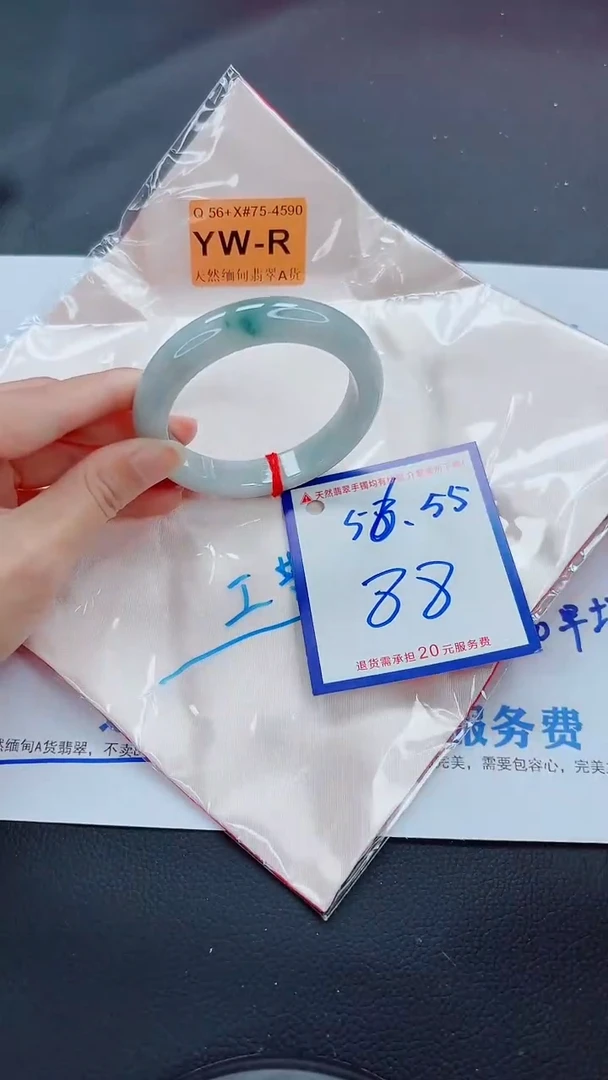 未镶嵌手镯翡翠11111111