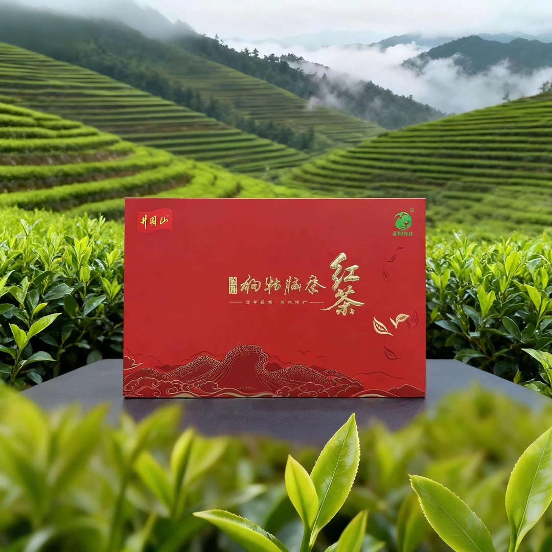 中秋福利狗牯脑红茶礼盒装高端大气果蜜香