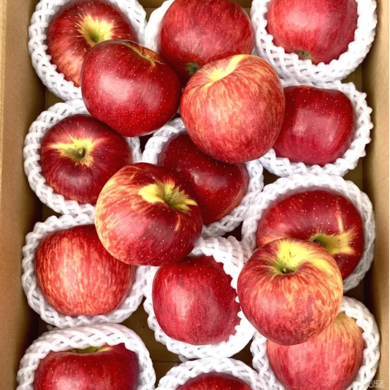 云南冰糖心丑苹果红露苹果新鲜采摘高原直供脆甜爽口维生素C水果