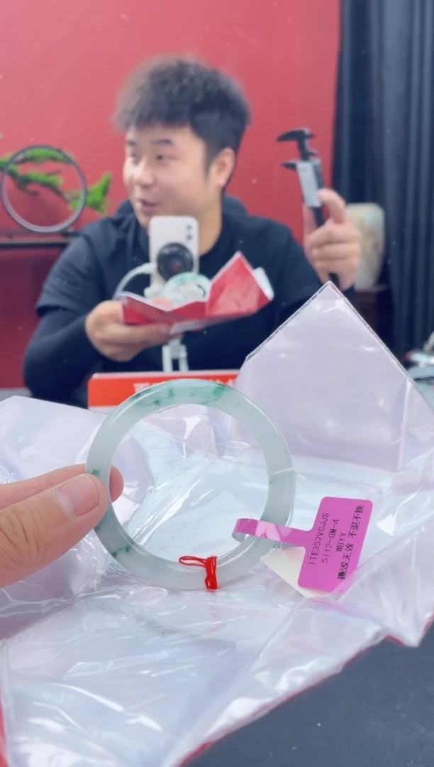 未镶嵌手镯翡翠2