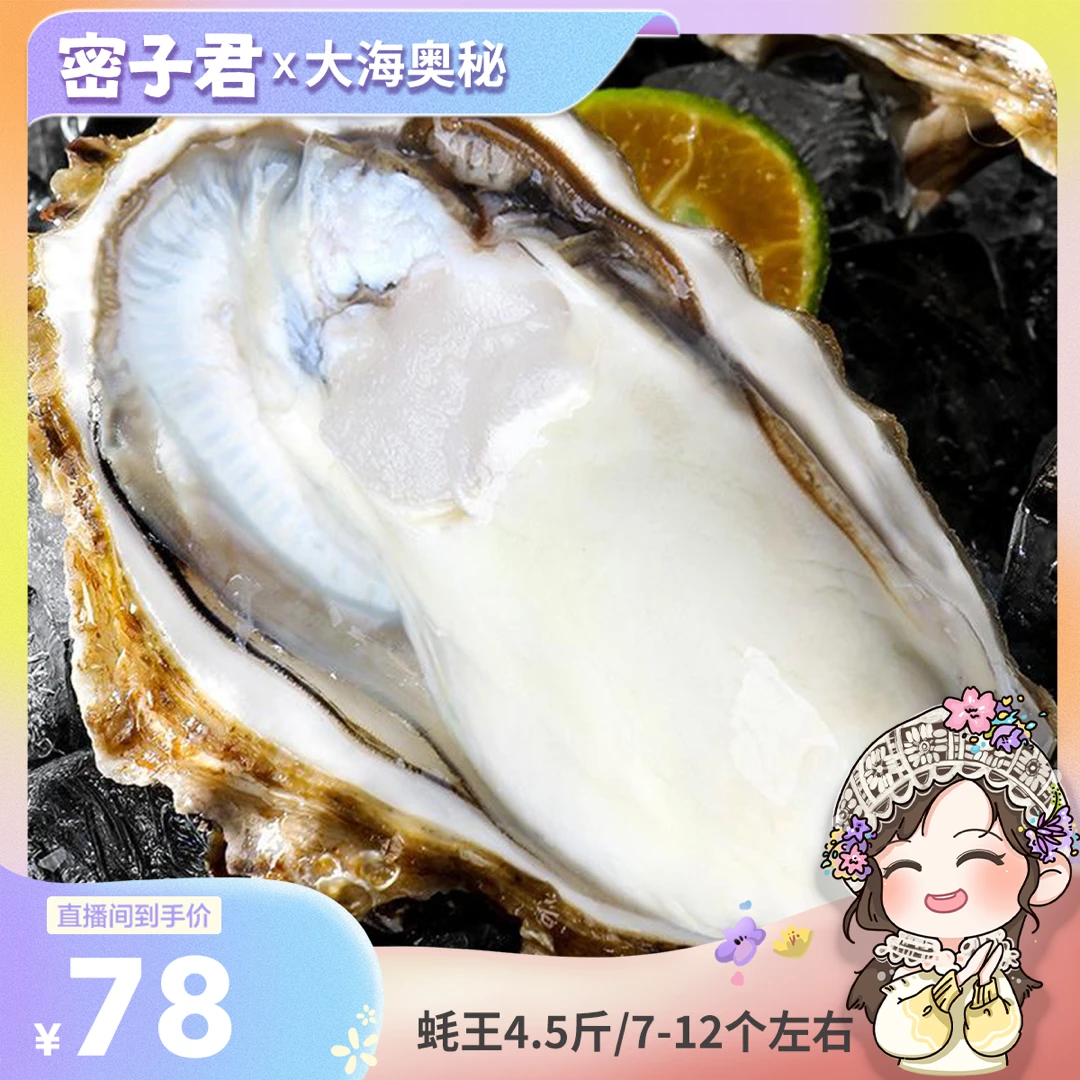密子君专属乳山生蚝刺身级别 当天捕捞  蚝王4.5斤/7-12个左右