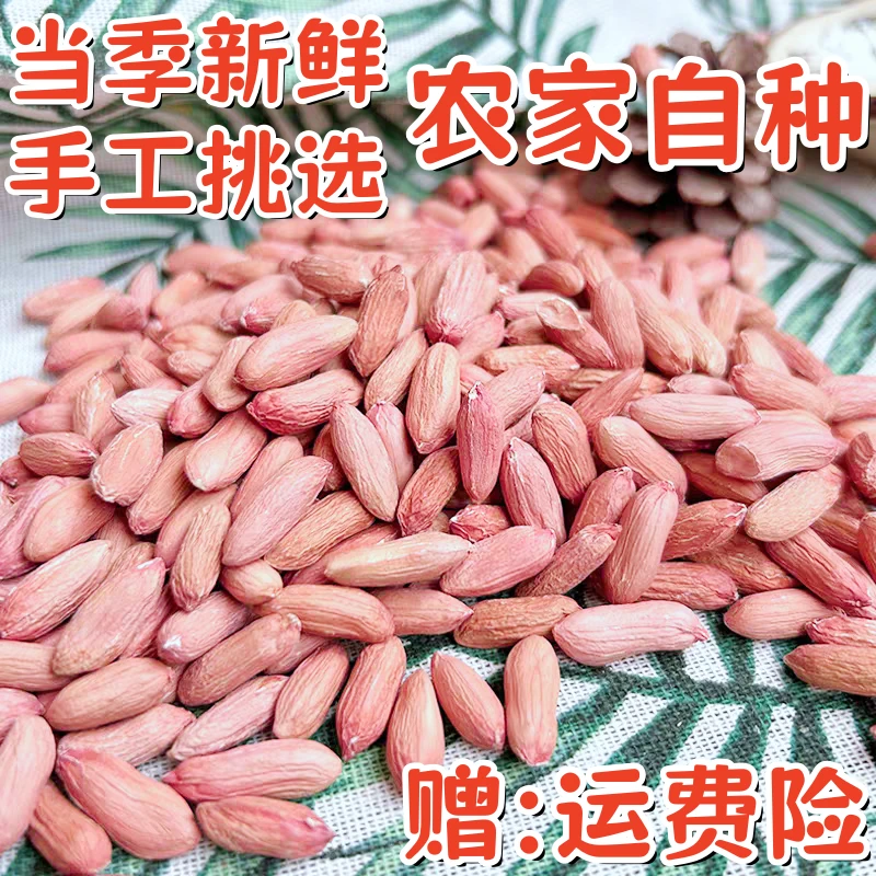 当季新瘪花生山东特产生秕甘甜清香农家自种小粒生花生米低油精选