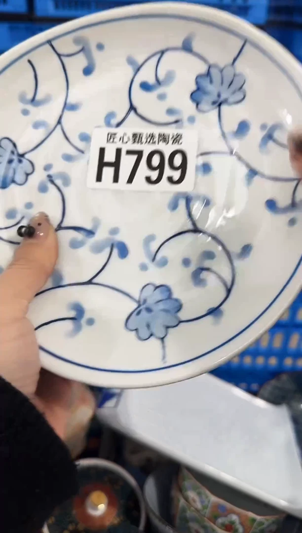 瓷片美****?         H799