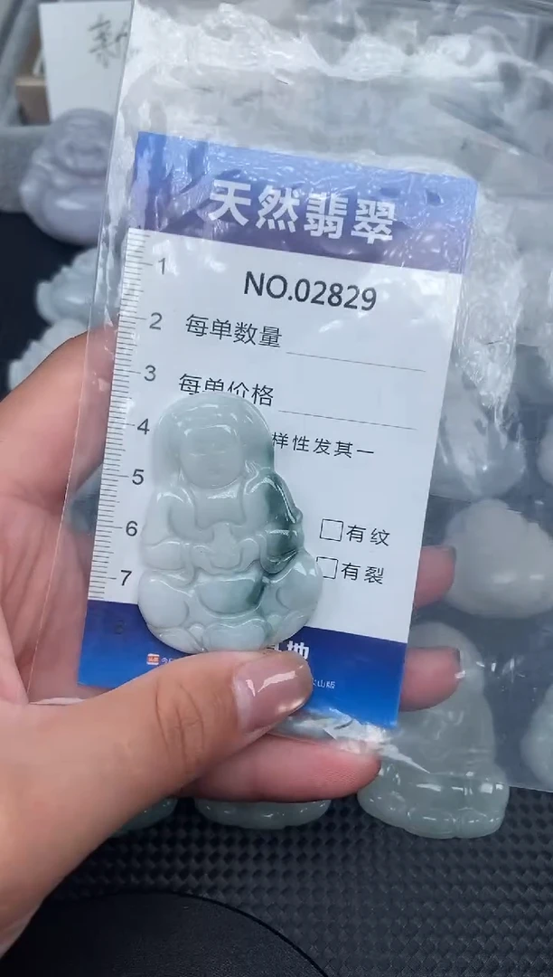 颈饰未镶嵌翡翠纯天然A货翡翠2829