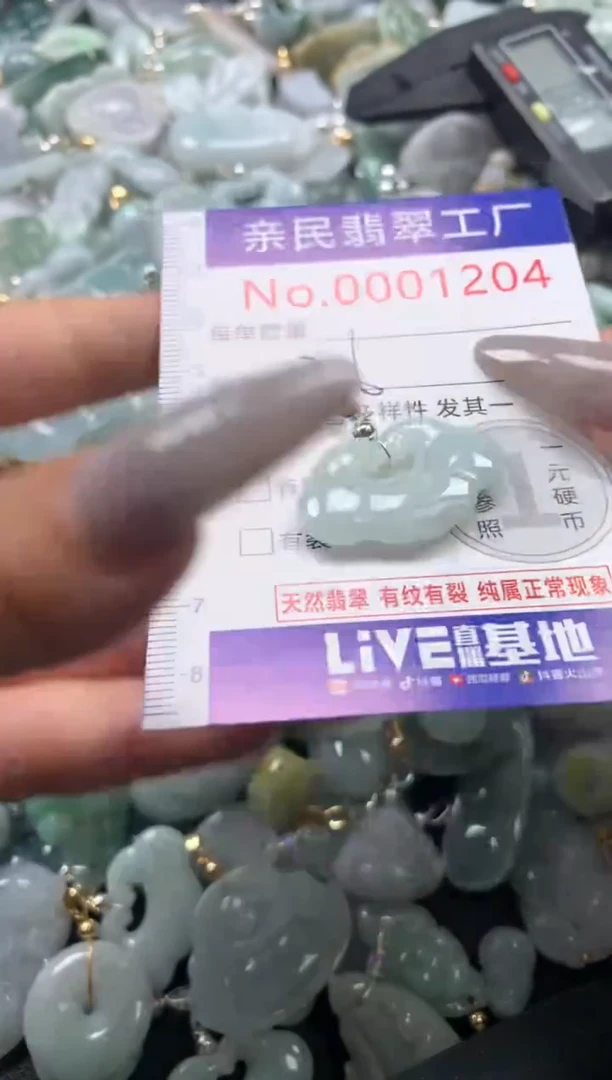 颈饰未镶嵌翡翠1204