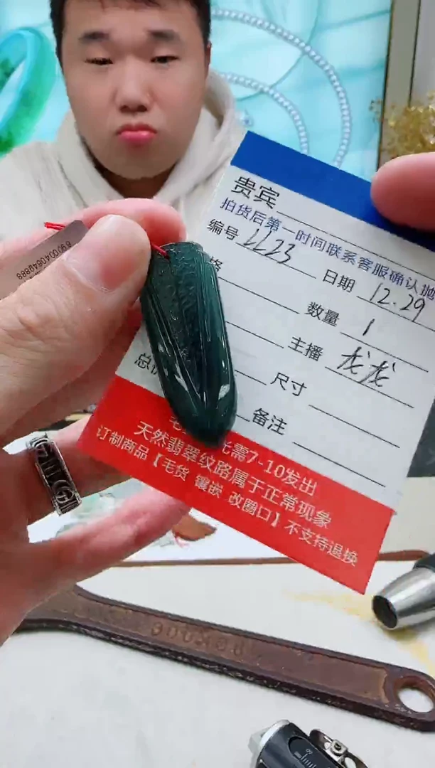 颈饰未镶嵌翡翠LL23翡翠吊坠-多样性发其一