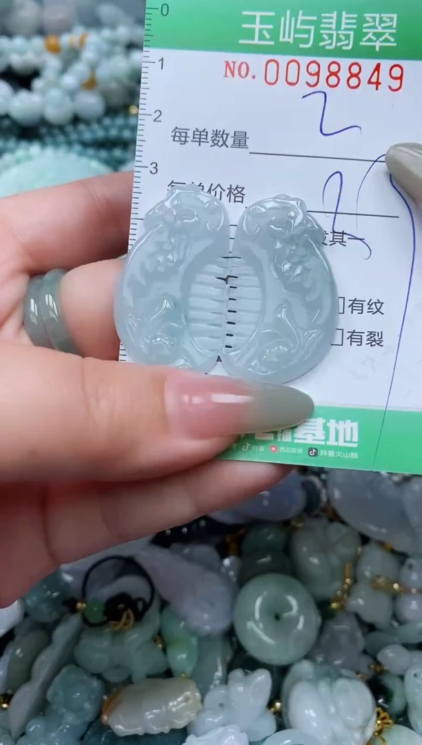 【闪购商品】翡翠未镶嵌颈饰闪购0098849