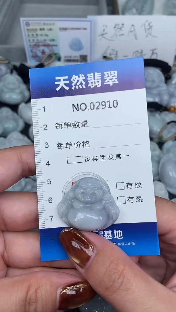 颈饰未镶嵌翡翠纯天然A货翡翠2910