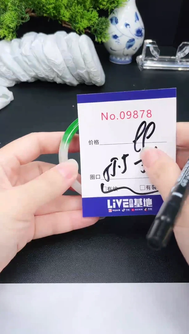 未镶嵌手镯翡翠9878