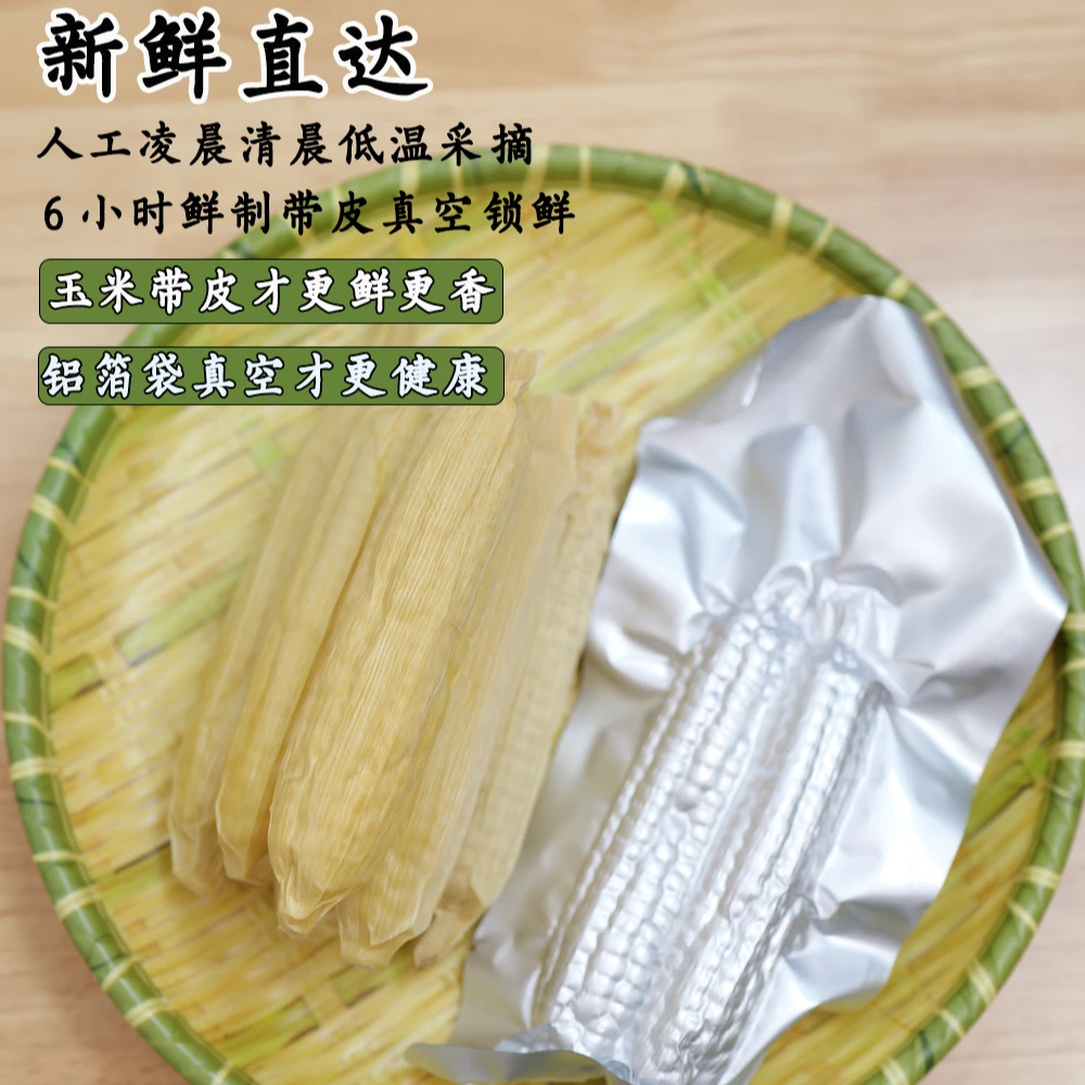 【靖哥哥】云南版纳拇指玉米【低脂】新鲜采摘软糯鲜香即食代餐