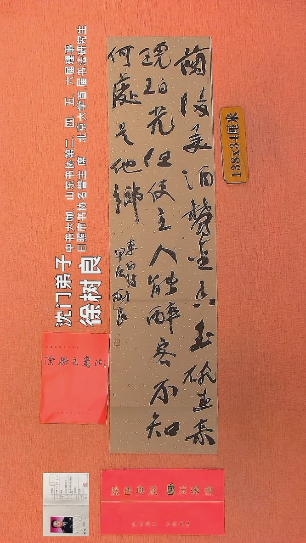 【闪购商品】书法36    徐树良书法作品