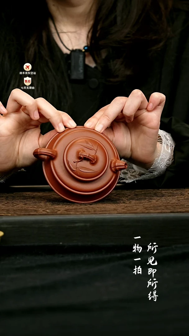 茶壶紫砂扁竹鼎壶 一物见春