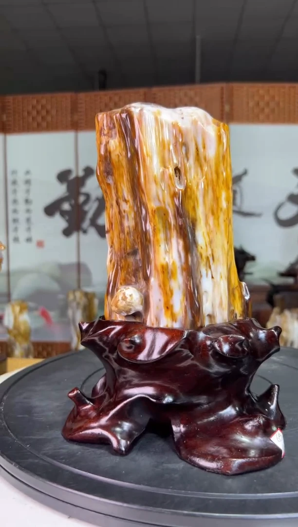 未镶嵌珠宝奇石硅化玉3
