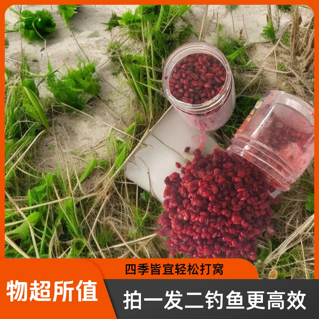 拍一发二 钓鱼麦粒四季通用钓鱼打窝