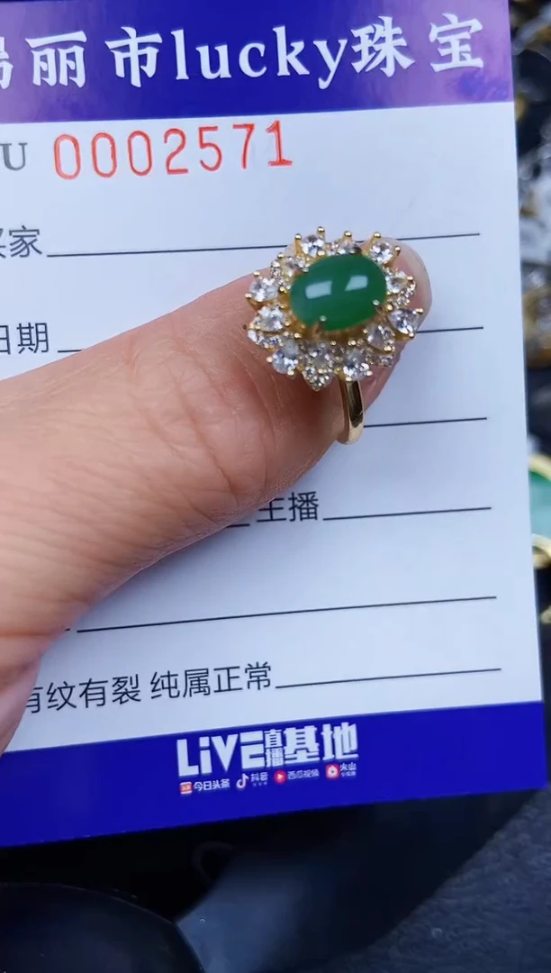 翡翠银S925镶嵌颈饰2571