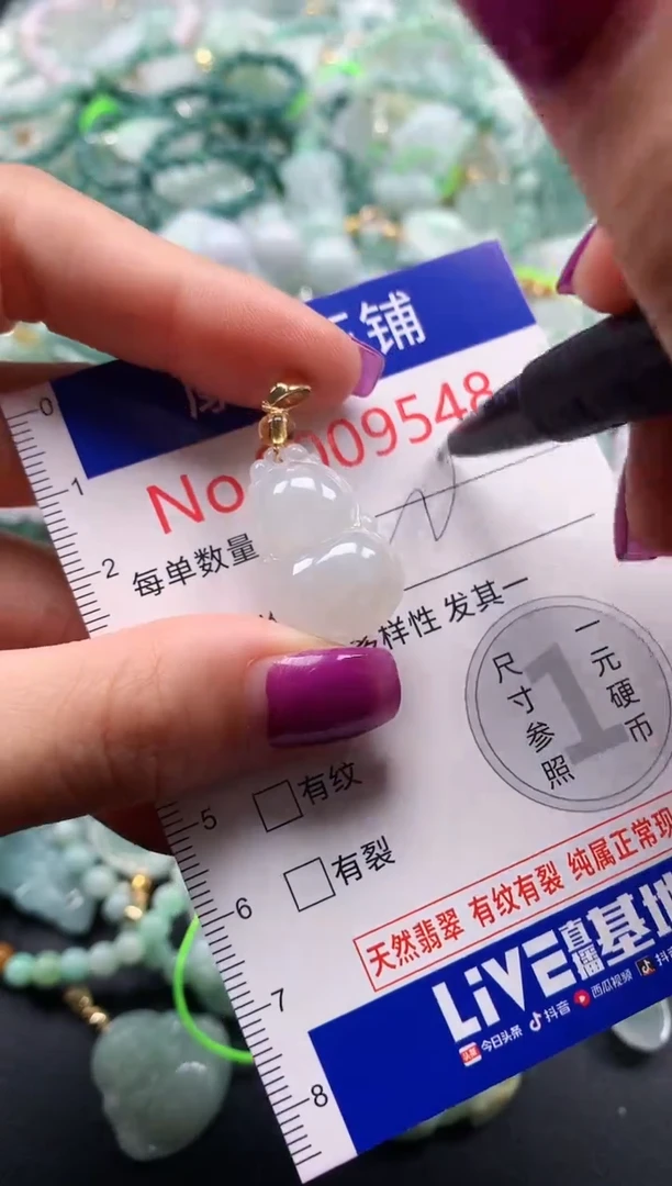 颈饰未镶嵌翡翠9548